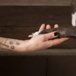 Hand hält Hundepfote