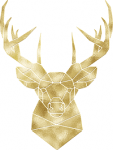 Logo Wildfleischverkauf Hustedt